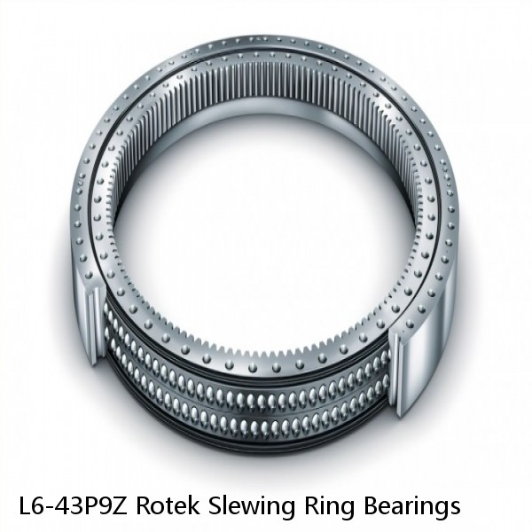 L6-43P9Z Rotek Slewing Ring Bearings