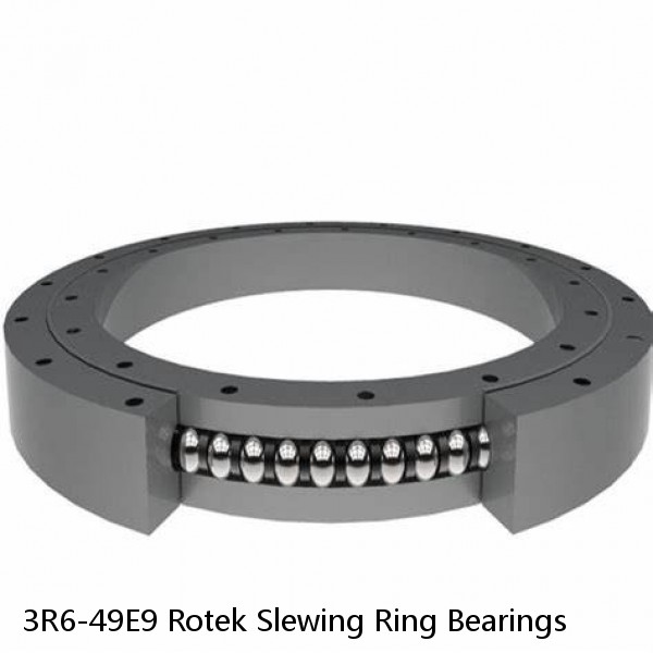 3R6-49E9 Rotek Slewing Ring Bearings