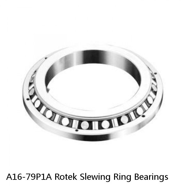 A16-79P1A Rotek Slewing Ring Bearings