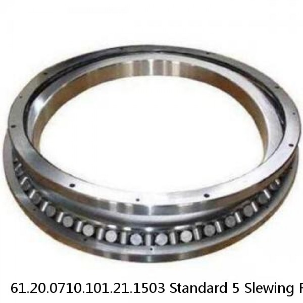 61.20.0710.101.21.1503 Standard 5 Slewing Ring Bearings