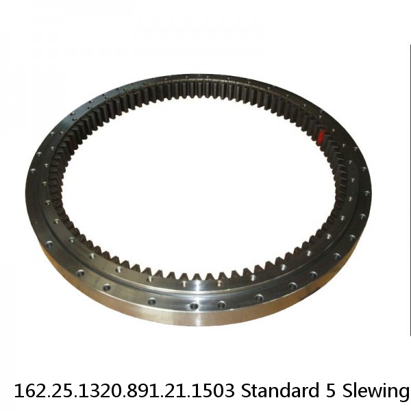 162.25.1320.891.21.1503 Standard 5 Slewing Ring Bearings