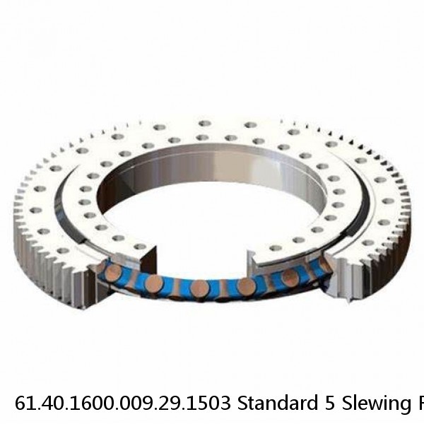 61.40.1600.009.29.1503 Standard 5 Slewing Ring Bearings