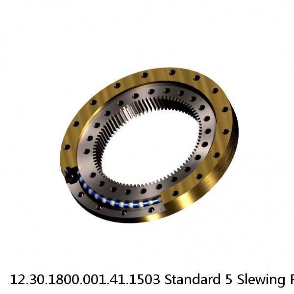 12.30.1800.001.41.1503 Standard 5 Slewing Ring Bearings