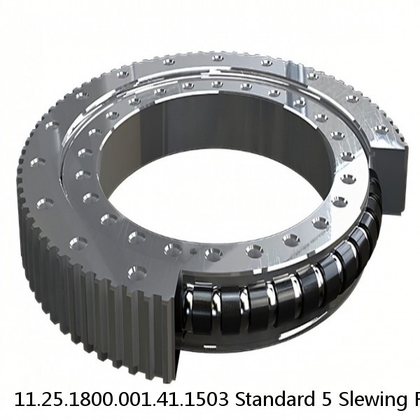 11.25.1800.001.41.1503 Standard 5 Slewing Ring Bearings